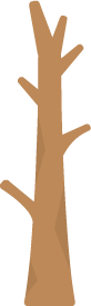Trunk 1